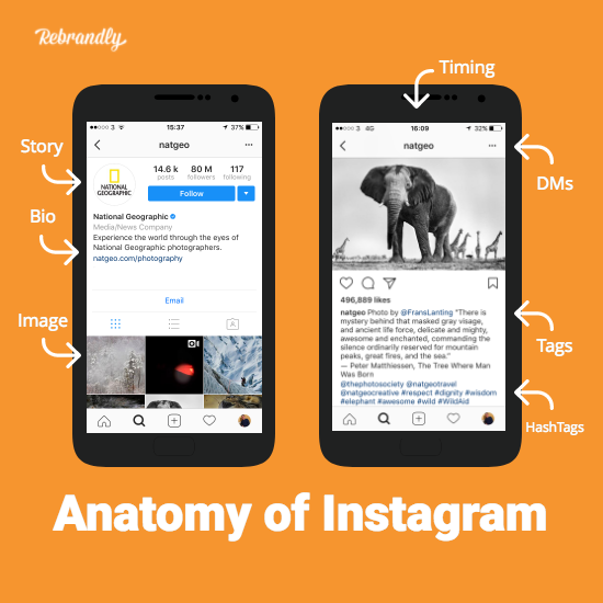 Using Instagram for Business